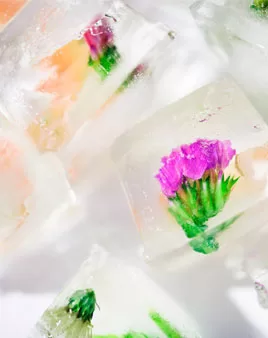 Insight into egg freezing