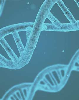 Male infertility: sperm DNA fragmentation