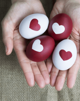 Egg and Sperm Donation: what does it involve and what are the regulations?