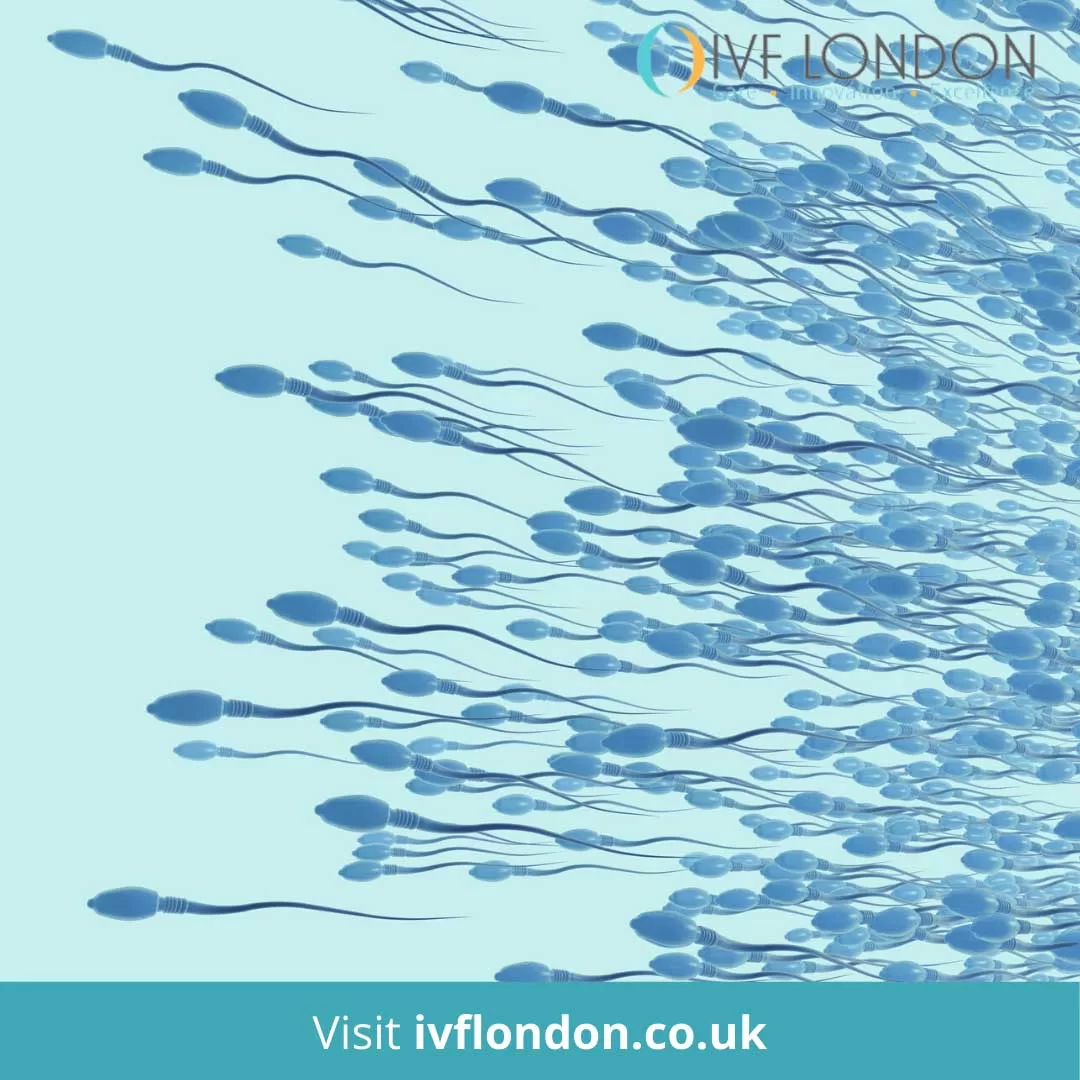 Understanding A Semen Analysis Result