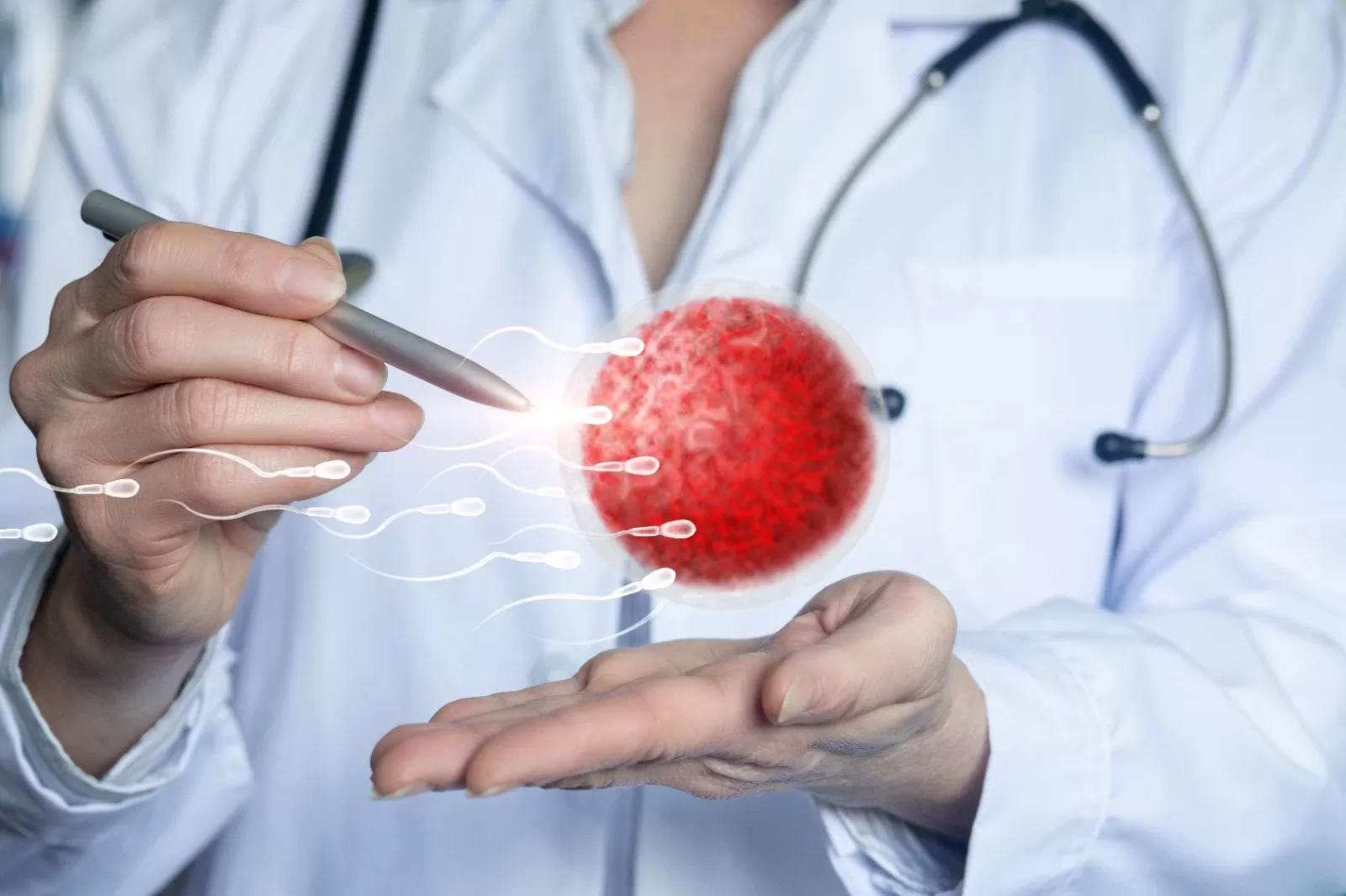 Inside the Egg Donation Process: How Does Egg Donor Work?